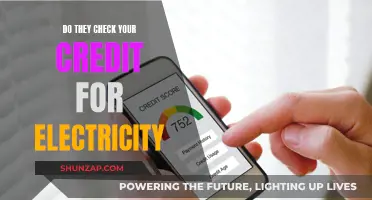 Credit Checks: A Prerequisite for Electricity Connection?