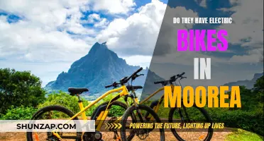 Electric Bikes in Moorea: Availability and Accessibility