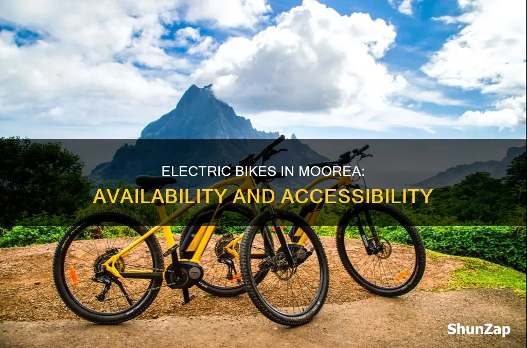 do they have electric bikes in moorea