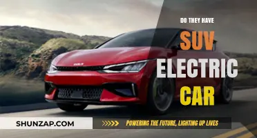 Exploring the Rise of Electric SUVs: Are They the Future?