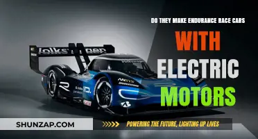 Electric Endurance Race Cars: Are They the Future of Motorsports?