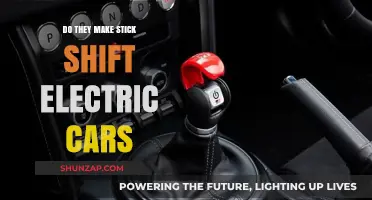 Are Stick Shift Electric Cars a Reality or Myth?
