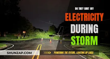 Electricity and Storms: Should You Turn Off the Power?