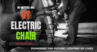 Electric Chair Executions: Are They Still Happening?