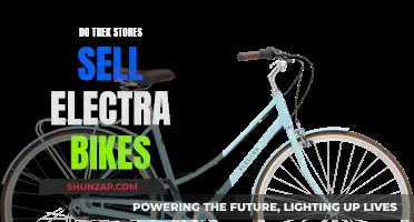 Trek and Electra: A Match Made in Heaven?