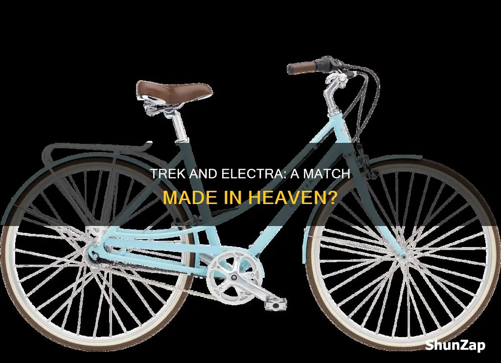 do trek stores sell electra bikes