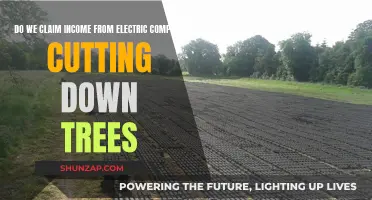 Claiming Income from Tree Removal for Power Lines