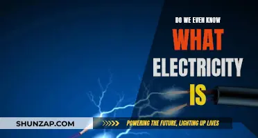 Electricity: What Is It? Do We Really Understand?