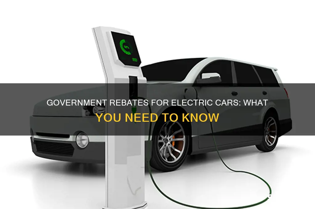 do we get rebate from government for electric cars