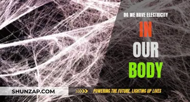 Electricity in the Human Body: A Natural Power Source?