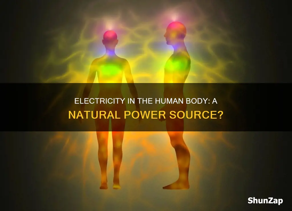 do we have electricity in our body