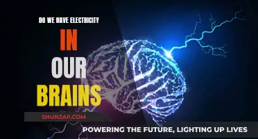 Electricity in Our Brains: Powering Thoughts and Actions