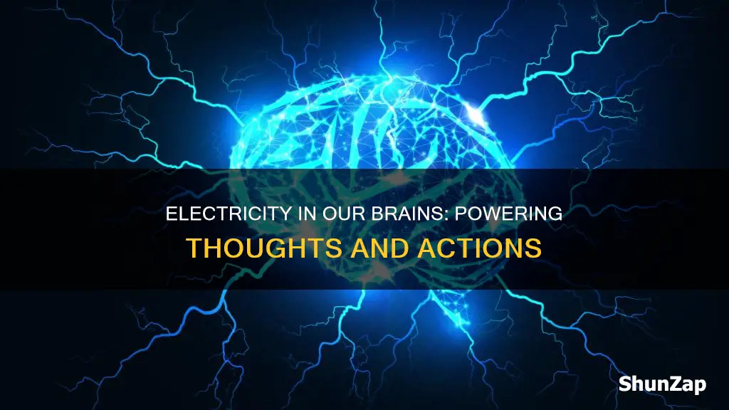 do we have electricity in our brains