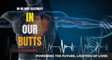 Electricity in Our Butts: Is It Possible?