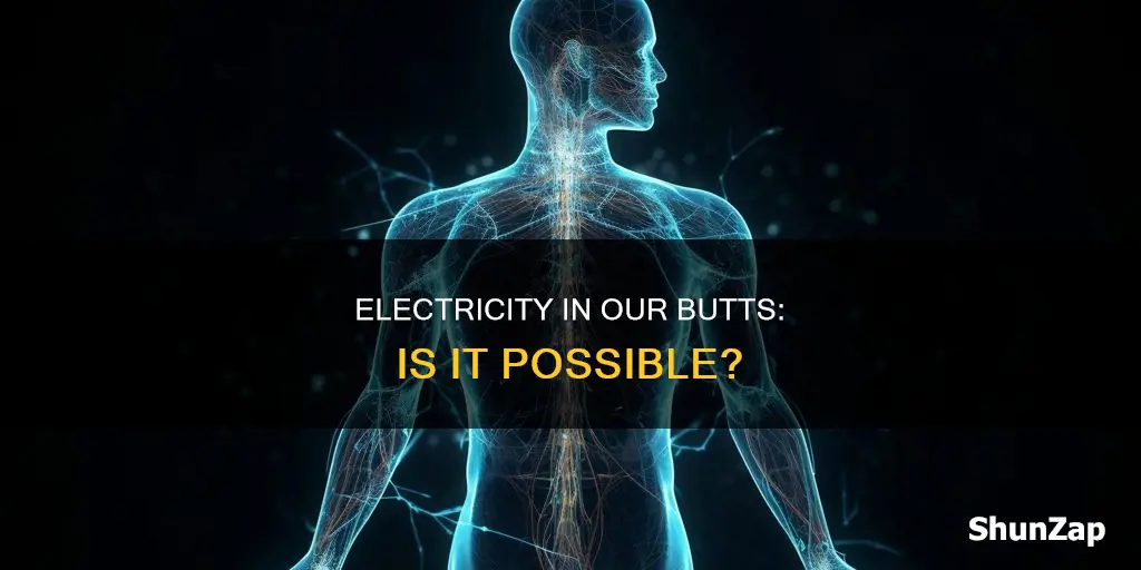 do we have electricity in our butts