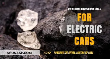 Electric Vehicle Boom: Are Our Mineral Reserves Up to the Challenge?