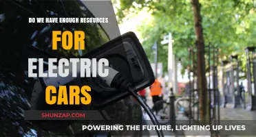 Are Resources Adequate for the Electric Vehicle Revolution?
