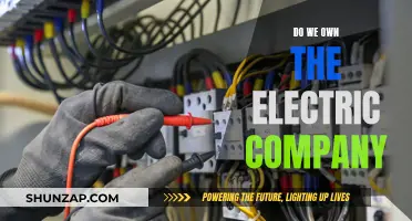 Who Controls the Electric Company?