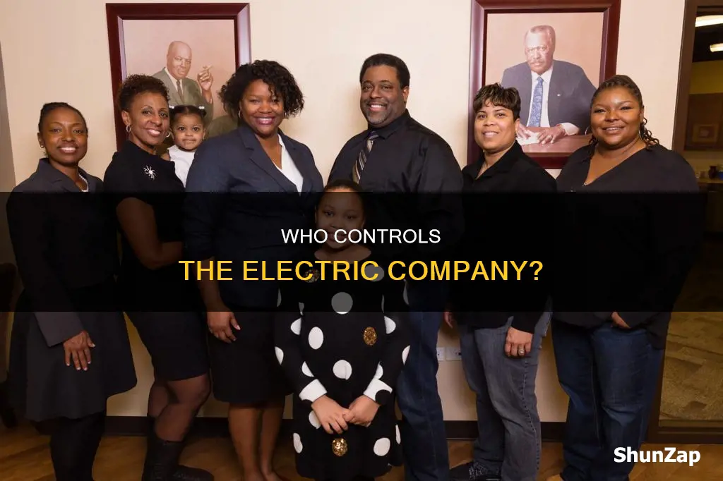 do we own the electric company