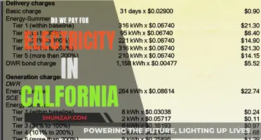 California's Electricity: Who Pays the Price?