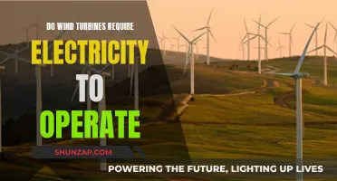 How Wind Turbines Operate: Powering with Electricity?