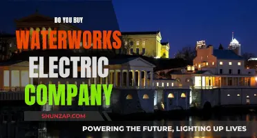 Should You Invest in Waterworks Electric Company?