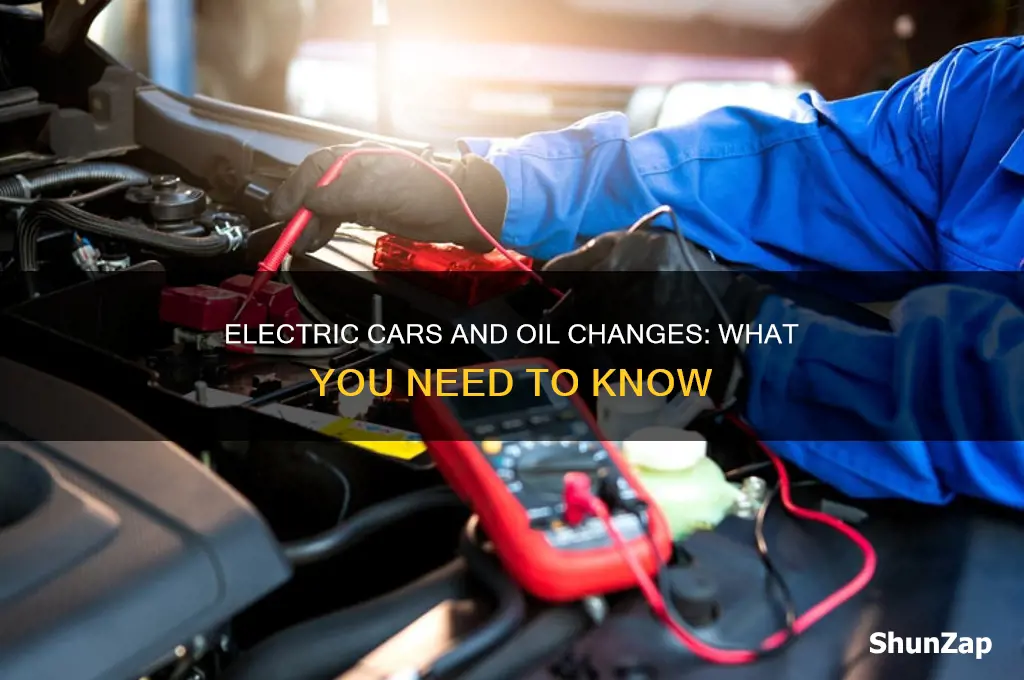 do you change oil in an electric car