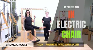 The Electric Chair: Does It Cause Painful Death?