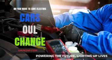 Electric Car Maintenance: Do Oil Changes Apply to EVs?