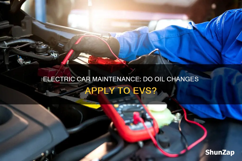 do you have to give electric cars oul change