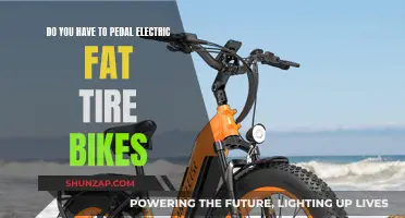 Electric Fat Tire Bikes: Pedal-Free or Pedal-Assist?