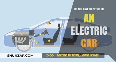 Electric Cars and Oil: Do You Need to Add Lubrication?