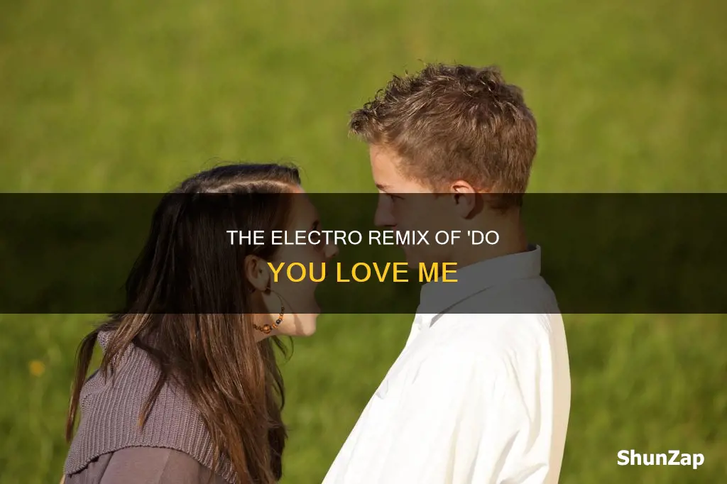 do you love me song electro remix