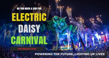 Electric Daisy Carnival: Is a Car Essential for Your Festival Experience?