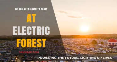Camping at Electric Forest: Car-Free Options and Tips for Festival-Goers