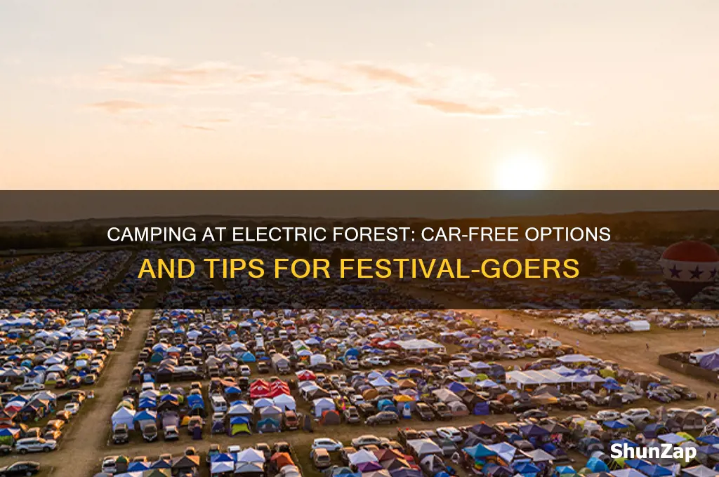 do you need a car to camp at electric forest