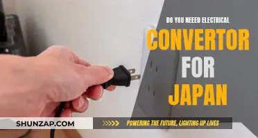 Traveling to Japan? Electrical Converters: Yes or No?