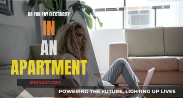 Understanding Electricity Costs in Your Apartment