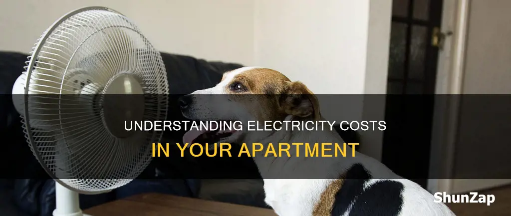 do you pay electricity in an apartment