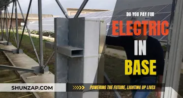 Electricity Costs: Base Payment and Beyond