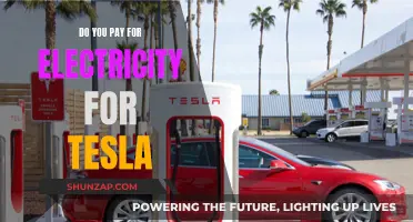 How Tesla Owners Pay for Electricity
