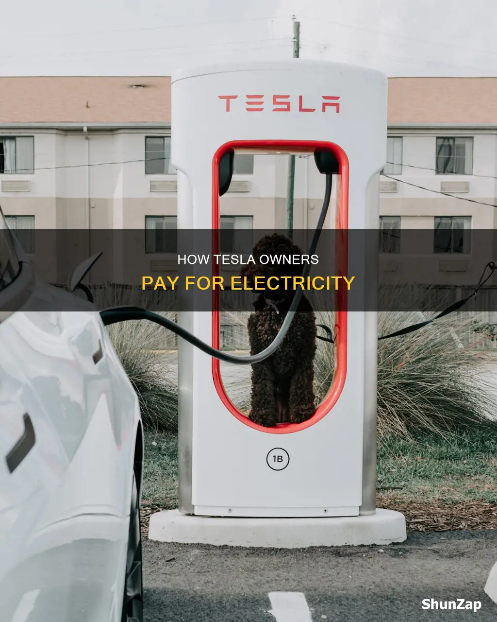 do you pay for electricity for tesla