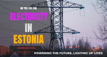 Electricity in Estonia: Who Pays and How Much?