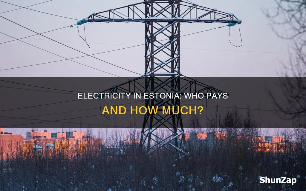 do you pay for electricity in estonia