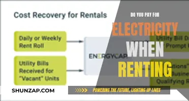 Understanding Rental Electricity Costs and Payment Responsibility
