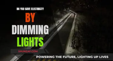 Dimming Lights: Energy Saver or Myth?