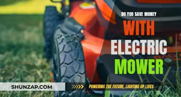 Electric Mower: Cheaper, Greener, and Quieter Mowing Experience