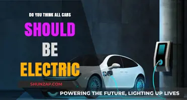 Should All Cars Go Electric? Pros, Cons, and Future Implications
