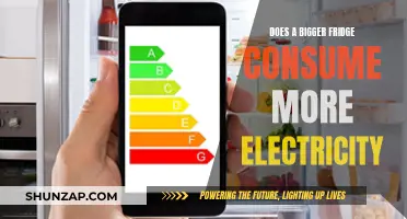 Bigger Fridge, Higher Electricity Bill?