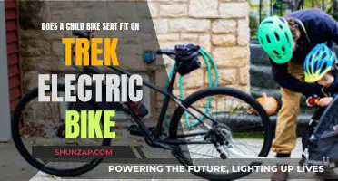 Electric Bike Child Seat: Does Trek Accommodate?